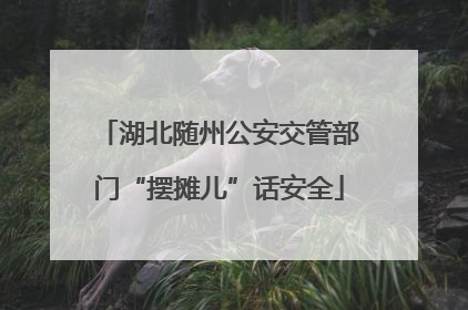 湖北随州公安交管部门“摆摊儿”话安全