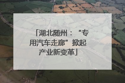 湖北随州：“专用汽车走廊”掀起产业新变革
