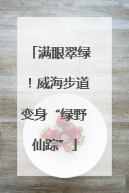 满眼翠绿！威海步道变身“绿野仙踪”