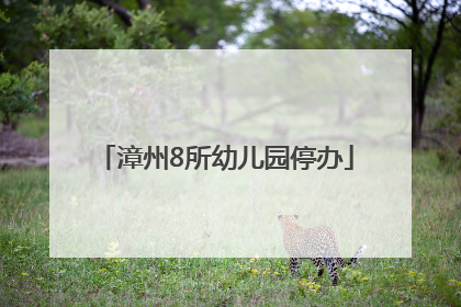 漳州8所幼儿园停办