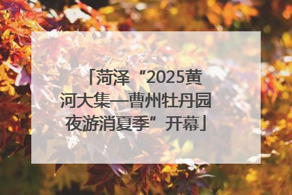 菏泽“2025黄河大集—曹州牡丹园夜游消夏季”开幕