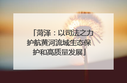 菏泽：以司法之力护航黄河流域生态保护和高质量发展