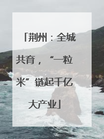 荆州：全城共育，“一粒米”链起千亿大产业