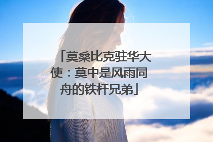 莫桑比克驻华大使：莫中是风雨同舟的铁杆兄弟