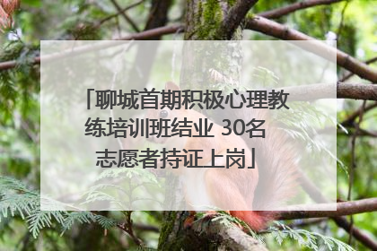 聊城首期积极心理教练培训班结业 30名志愿者持证上岗