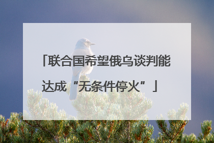 联合国希望俄乌谈判能达成“无条件停火”