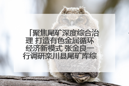 聚焦尾矿深度综合治理 打造有色金属循环经济新模式 张金良一行调研栾川县尾矿库综合治理工作