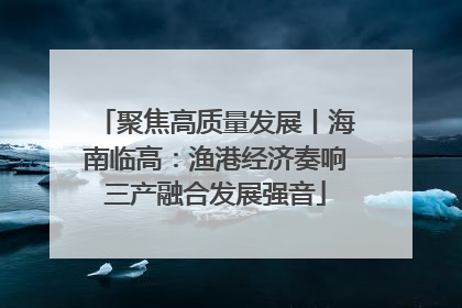 聚焦高质量发展丨海南临高：渔港经济奏响三产融合发展强音