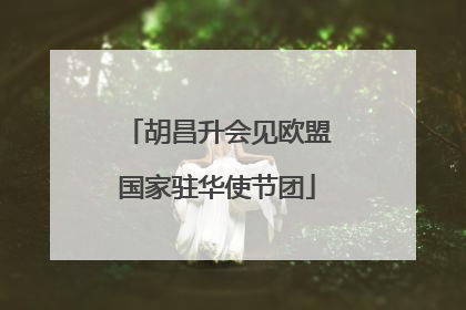 胡昌升会见欧盟国家驻华使节团