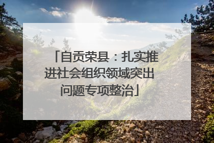 自贡荣县：扎实推进社会组织领域突出问题专项整治