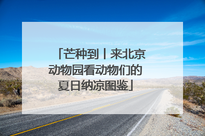 芒种到丨来北京动物园看动物们的夏日纳凉图鉴