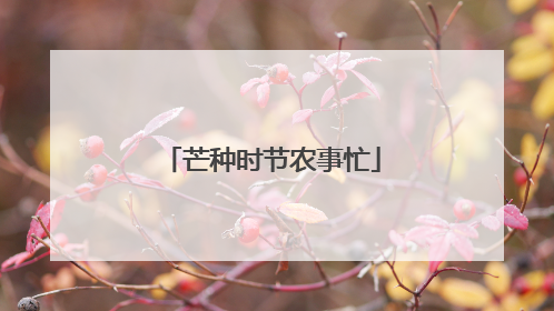 芒种时节农事忙
