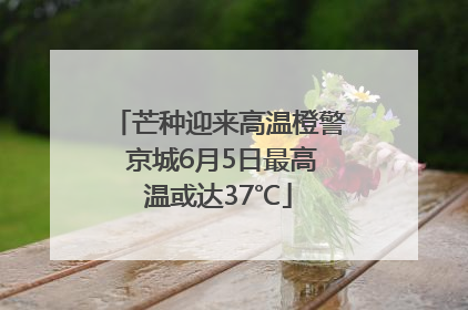 芒种迎来高温橙警 京城6月5日最高温或达37℃