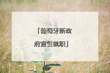 葡萄牙新政府宣誓就职