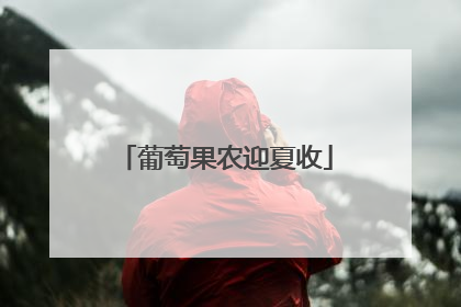 葡萄果农迎夏收
