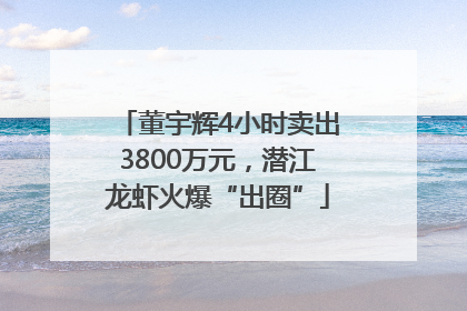 董宇辉4小时卖出3800万元，潜江龙虾火爆“出圈”