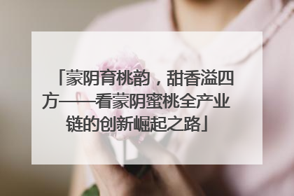 蒙阴育桃韵，甜香溢四方——看蒙阴蜜桃全产业链的创新崛起之路