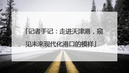 记者手记：走进天津港，窥见未来现代化港口的模样