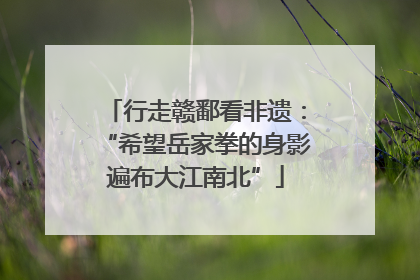 行走赣鄱看非遗：“希望岳家拳的身影遍布大江南北”