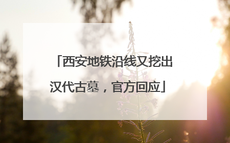 西安地铁沿线又挖出汉代古墓，官方回应