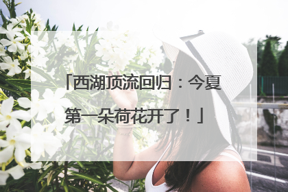 西湖顶流回归：今夏第一朵荷花开了！