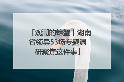 观潮的螃蟹丨湖南省领导53场专题调研聚焦这件事