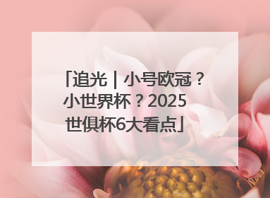 追光｜小号欧冠？小世界杯？2025世俱杯6大看点