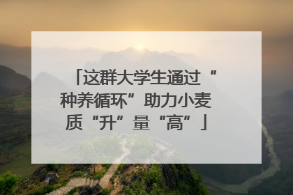 这群大学生通过“种养循环”助力小麦质“升”量“高”