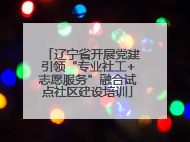 辽宁省开展党建引领“专业社工+志愿服务”融合试点社区建设培训