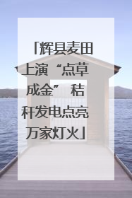 辉县麦田上演“点草成金” 秸秆发电点亮万家灯火