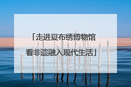 走进夏布绣博物馆 看非遗融入现代生活