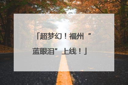 超梦幻！福州“蓝眼泪”上线！