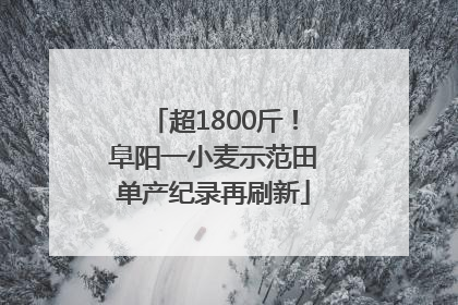 超1800斤！阜阳一小麦示范田单产纪录再刷新