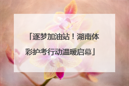 逐梦加油站！湖南体彩护考行动温暖启幕