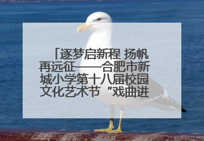 逐梦启新程 扬帆再远征——合肥市新城小学第十八届校园文化艺术节“戏曲进校园专场演出”