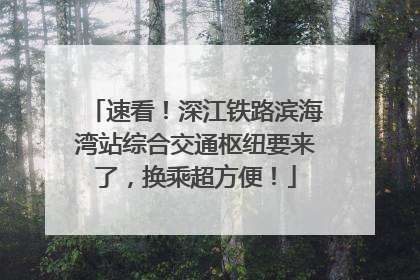 速看！深江铁路滨海湾站综合交通枢纽要来了，换乘超方便！