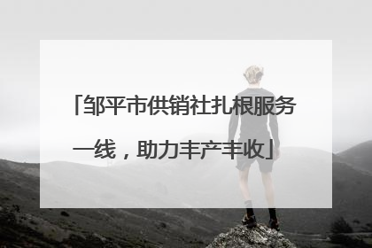 邹平市供销社扎根服务一线，助力丰产丰收