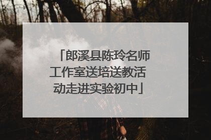 郎溪县陈玲名师工作室送培送教活动走进实验初中