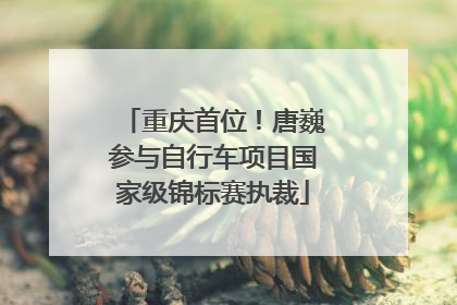 重庆首位！唐巍参与自行车项目国家级锦标赛执裁