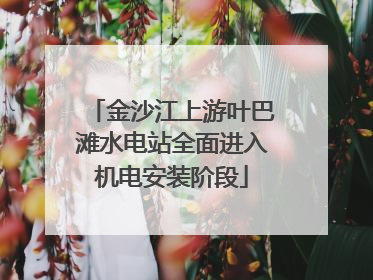 金沙江上游叶巴滩水电站全面进入机电安装阶段