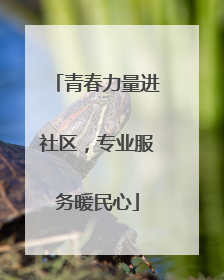 青春力量进社区，专业服务暖民心