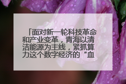 面对新一轮科技革命和产业变革，青海以清洁能源为主线，紧抓算力这个数字经济的“血液”、科技主权的“筹码”、产业升级的“杠杆”、绿色转型的“支点”，勇于撬动国家“双碳”战略、“东数西算”工程重大发展新机遇