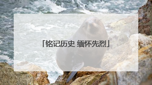铭记历史 缅怀先烈