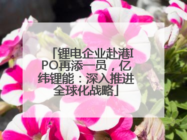 锂电企业赴港IPO再添一员，亿纬锂能：深入推进全球化战略
