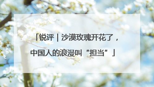 锐评｜沙漠玫瑰开花了，中国人的浪漫叫“担当”