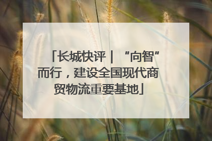 长城快评｜“向智”而行，建设全国现代商贸物流重要基地