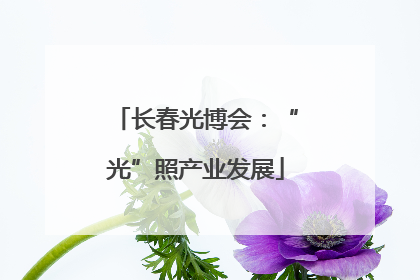 长春光博会：“光”照产业发展