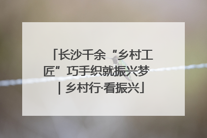 长沙千余“乡村工匠”巧手织就振兴梦｜乡村行·看振兴