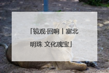 镜观·回响丨塞北明珠 文化瑰宝