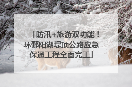 防汛+旅游双功能！环鄱阳湖堤顶公路应急保通工程全面完工